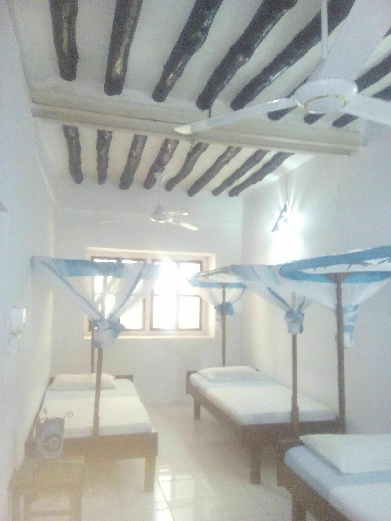 Kiponda B&B Zanzibar Eksteriør billede